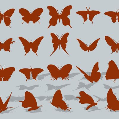 现代动物昆虫蝴蝶剪影图标装饰摆件