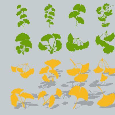 现代植物树叶叶脉银杏剪影图标