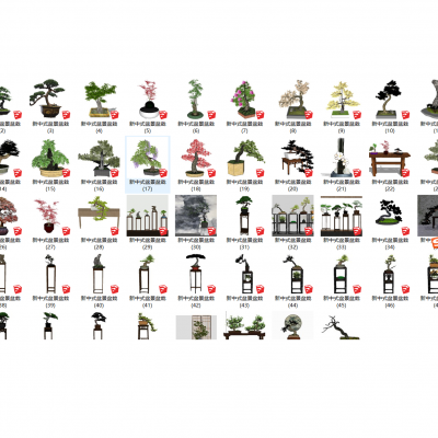 新中式盆景盆栽 造型松 罗汉松 黑松 艺术摆件