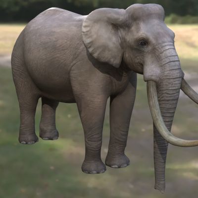 欧洲矮象西西里矮象法氏古菱齿象法氏亚洲象大象野生动物