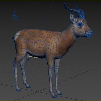 普氏原羚黄羊滩黄羊滩原羚对角羚羊动物