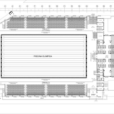 奥林匹克游泳池项目