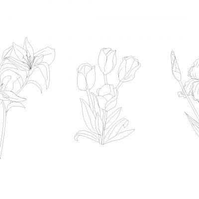 特殊花卉Cad模块