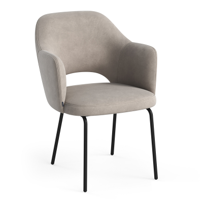 椅子 休闲椅子 餐椅