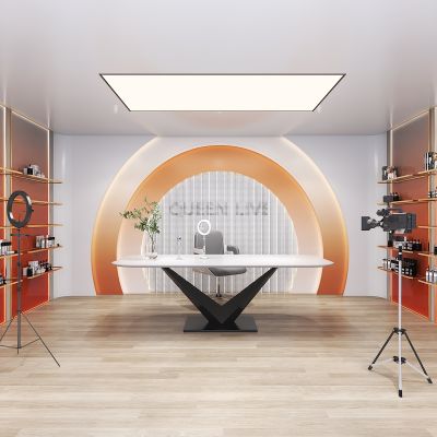 现代化妆品直播间