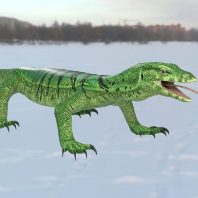 绿树巨蜥翡翠巨蜥葱绿巨蜥蜥蜴动物