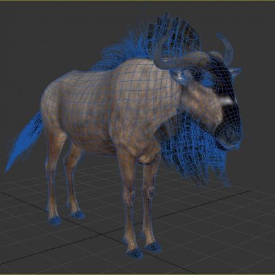 尼亚萨湖蓝色角马动物野生