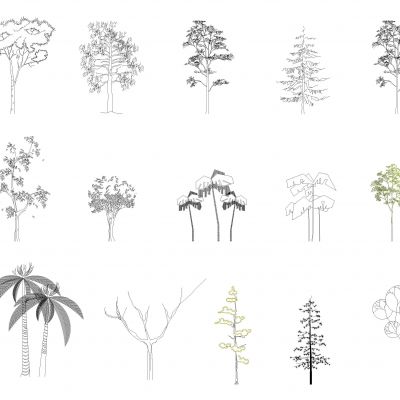 CAD植物平立面图块
