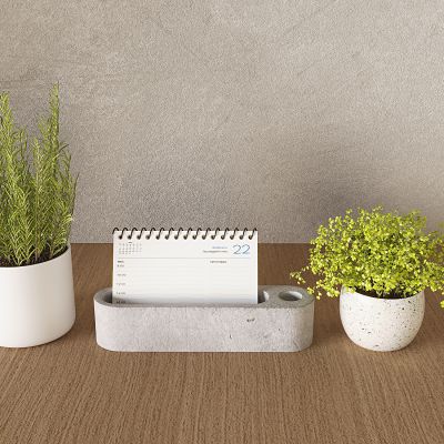 现代绿植盆栽 绿植桌摆植物