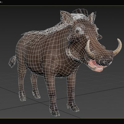 非洲疣猪普通疣猪厄立特里亚疣猪动物生物