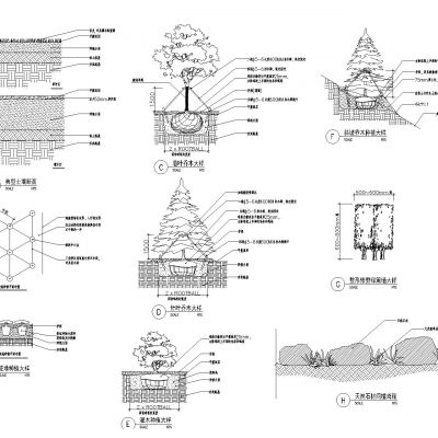 植物设计cad苗木栽植