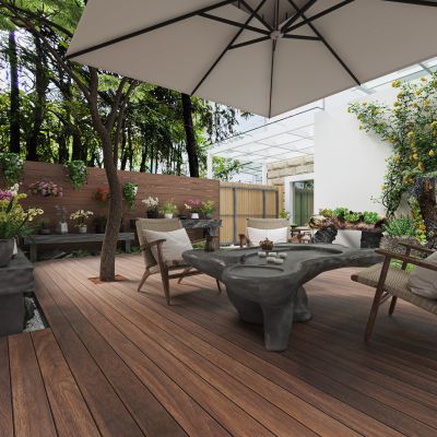 现代花园庭院植物遮阳伞