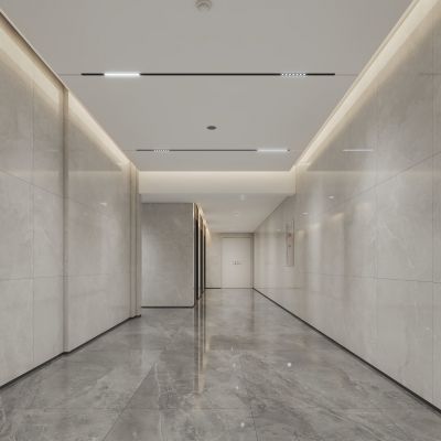 现代电梯厅 小区入户大厅