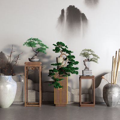 中式花几 松树 盆栽