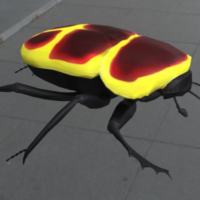 金花金龟子玫瑰金龟子昆虫节肢动物