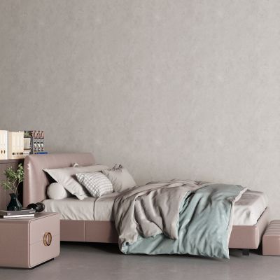 现代皮质床 真皮床