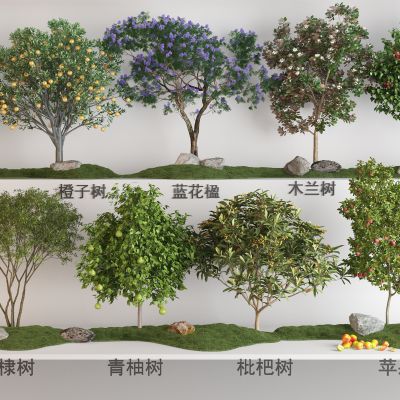 现代果树植物组合3D模型