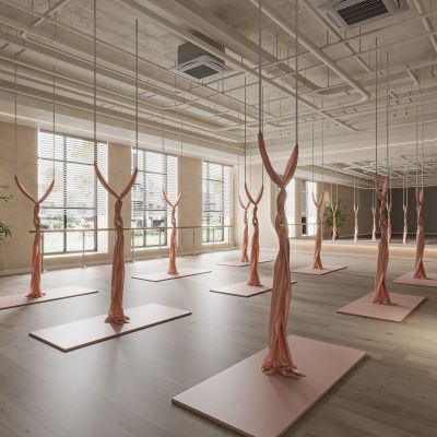 现代健身房,健身器械,瑜伽垫,瑜伽球,把杆,镜子,反重力吊床