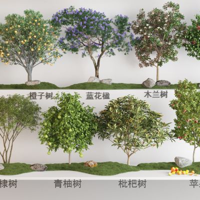 现代果树植物组合