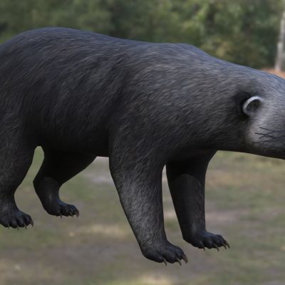 南美细齿巨熊南美窄齿巨熊或窄齿短面熊