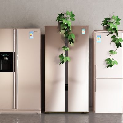 现代冰箱 双开门冰箱