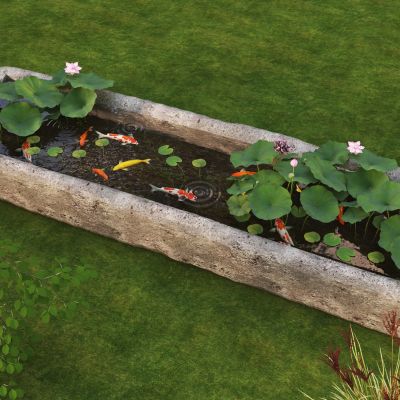 新中式 石槽池 锦鲤池 原生水槽