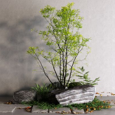 现代景观石 景观树 石头 小草