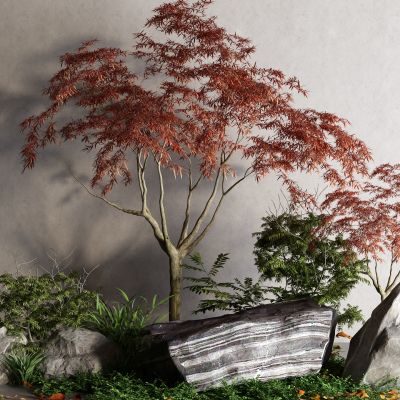 现代景观石 景观树 红枫 石头 小草