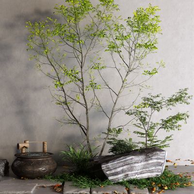 现代景观树 景观石 落叶 水缸