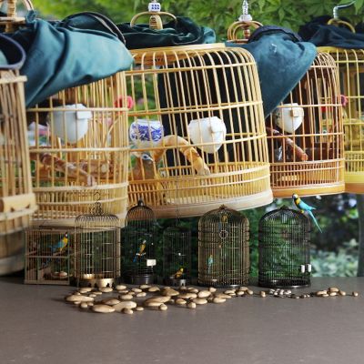 中式鸟笼 鹅卵石