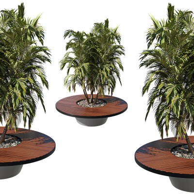 圆形花池 室外棕榈树 带座位花池 公园景观树 欧式景观花池