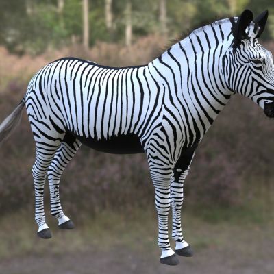 世界上最大的马科动物格雷维斑马野生动物生物