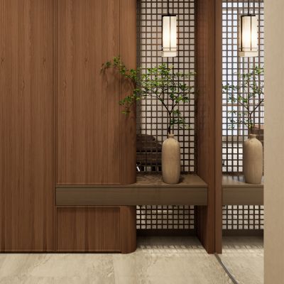 新中式 中古风 实木格栅 骨骼线 宫灯 入户隔断  玄关