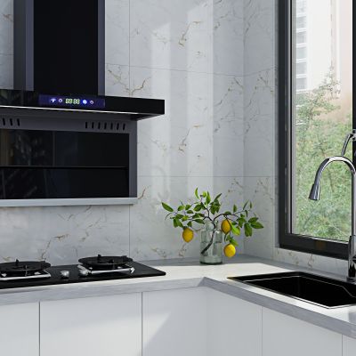 烟机炉灶水盘水龙头