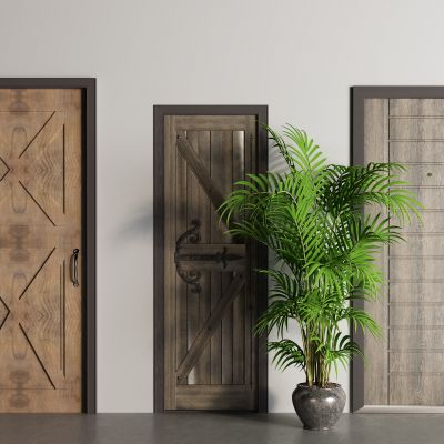 工业风入户门 实木门