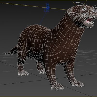 斑点颈水獭动物生物