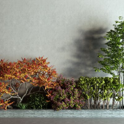 现代景观树 灌木