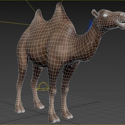 野生双峰驼骆驼动物生物