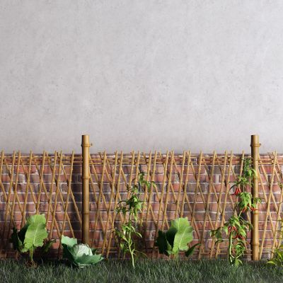 中式篱笆 草地 黄砖 菜园子