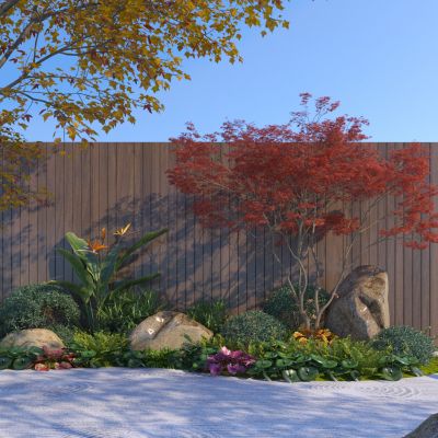 现代庭院植物组合