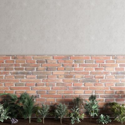 现代灌木 景观树