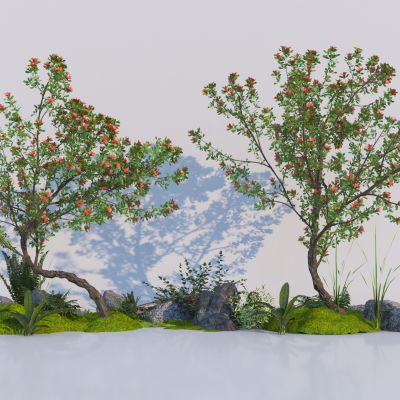 现代石榴树 石榴花 景观造型树 庭院果树