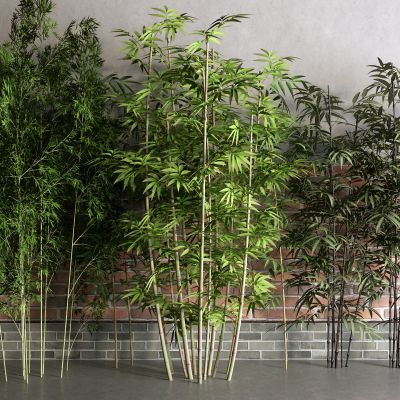 中式青砖 黄砖 竹子