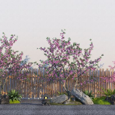 现代乔木樱花树 粉