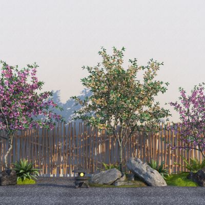 现代乔木樱花树