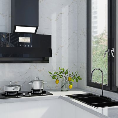 烟机 炉灶 水盘 水龙头