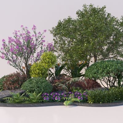 现代植物组合 乔木灌木组团