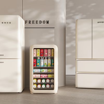 冷饮柜饮料冷藏柜 双开门四开门冰箱 智能冰箱