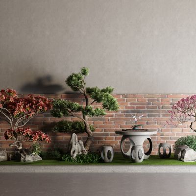 中式红枫 景观树 石桌 梅花 松树