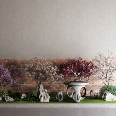 中式红枫 景观树 石桌